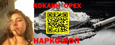 ГАЛЛЮЦИНОГЕННЫЕ ГРИБЫ Кандалакша