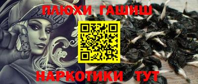ГАЛЛЮЦИНОГЕННЫЕ ГРИБЫ Кандалакша